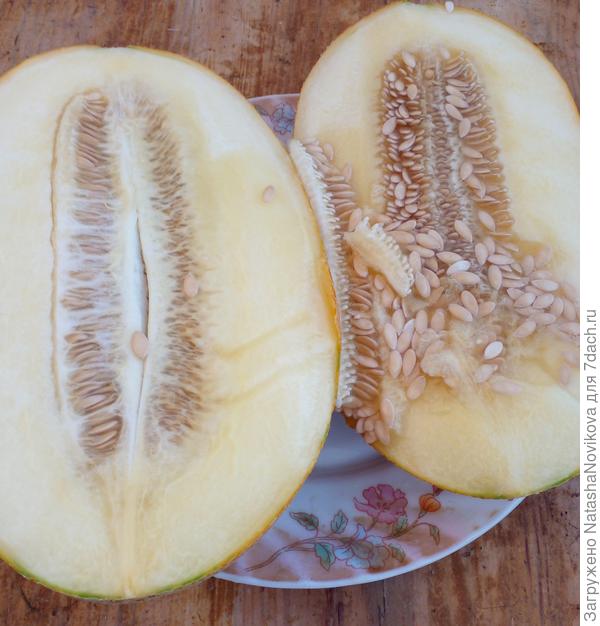 одну испорченную разрезала - на вкус трава травой, только обалденный аромат