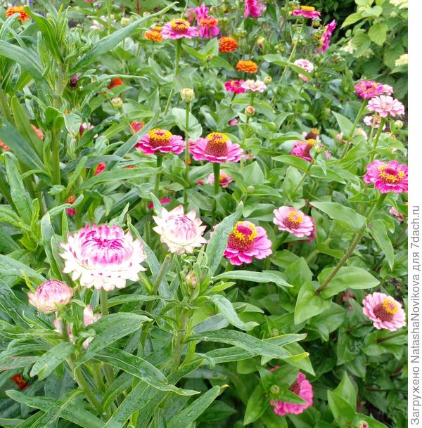 пора что то меня в своей жизни