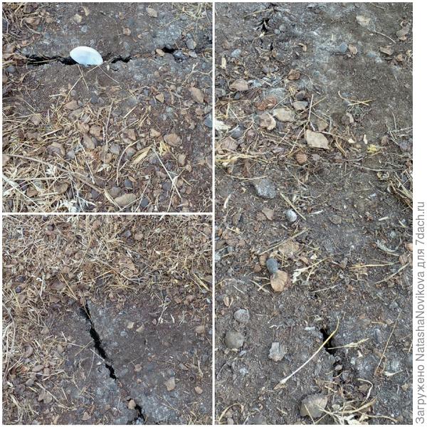 ложкой проверяла на влажность - сухота