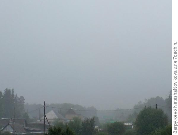 как будто бы туман над деревней, а это дождь