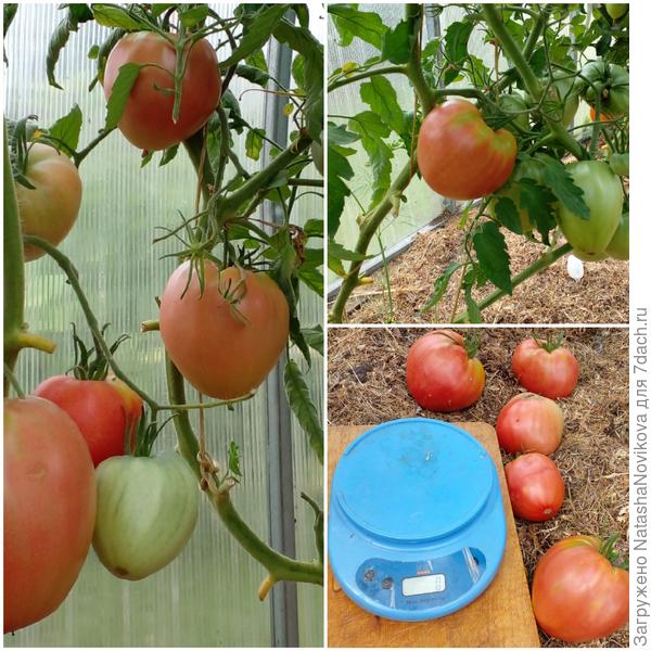 опять темнота и дождь