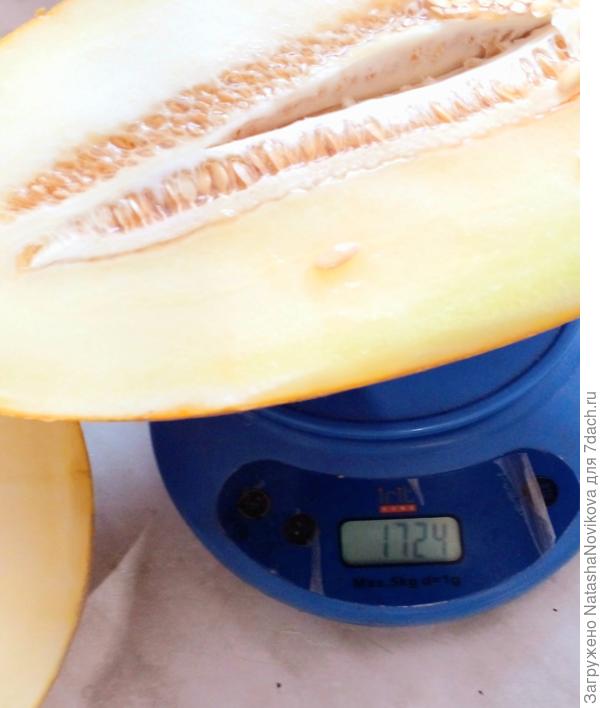 половина дыни, опять забыла сфотать