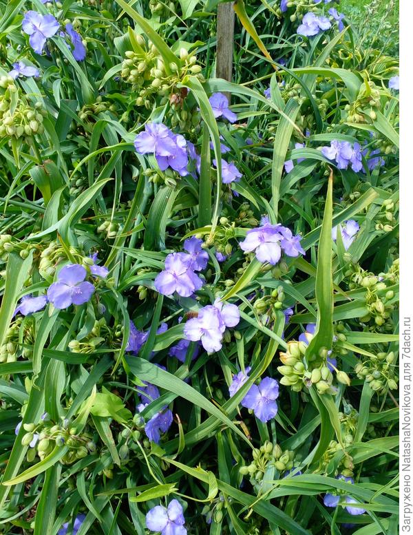 забыла как зовут