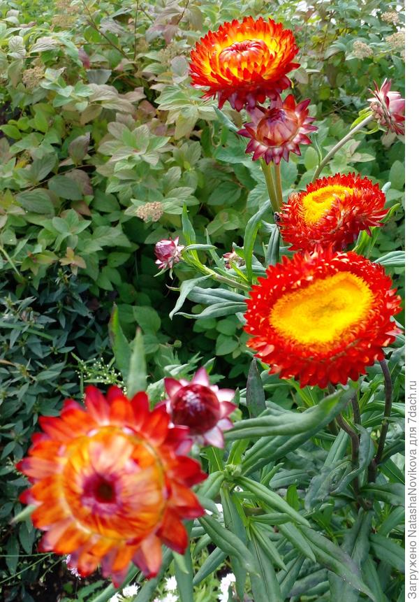 а как шуршат))