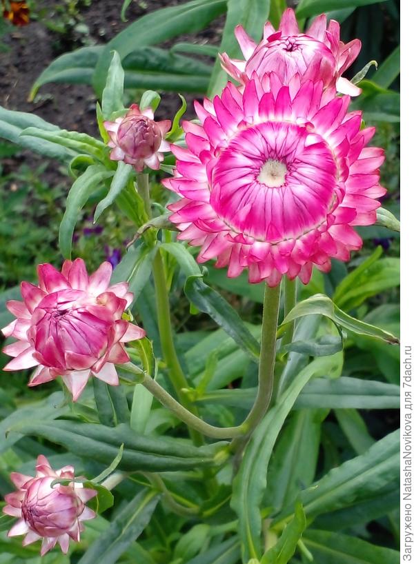 приятный цвет