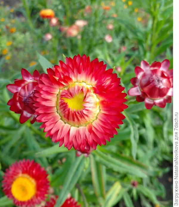 ярко, позитивно