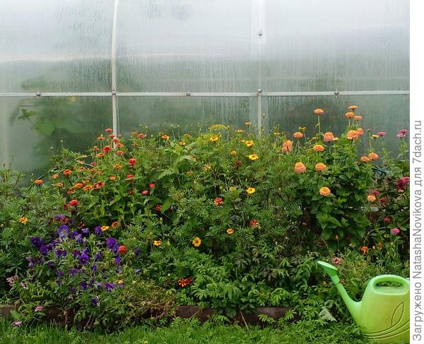 и пять...как можно будет любоваться этим зимой? это пригодится для архива