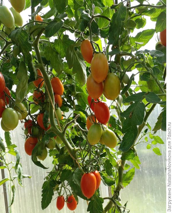 пламя бушует, уже 5-ти л ведёрко сняла его