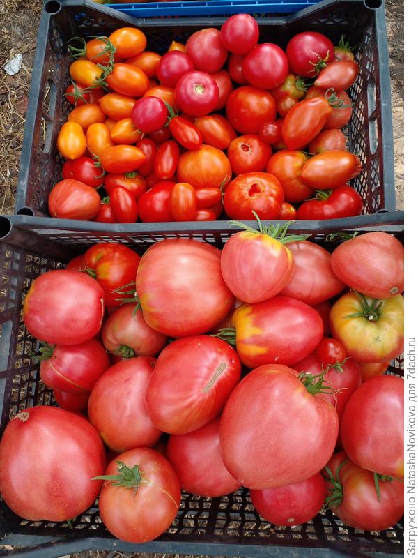 перерабатывать нужно