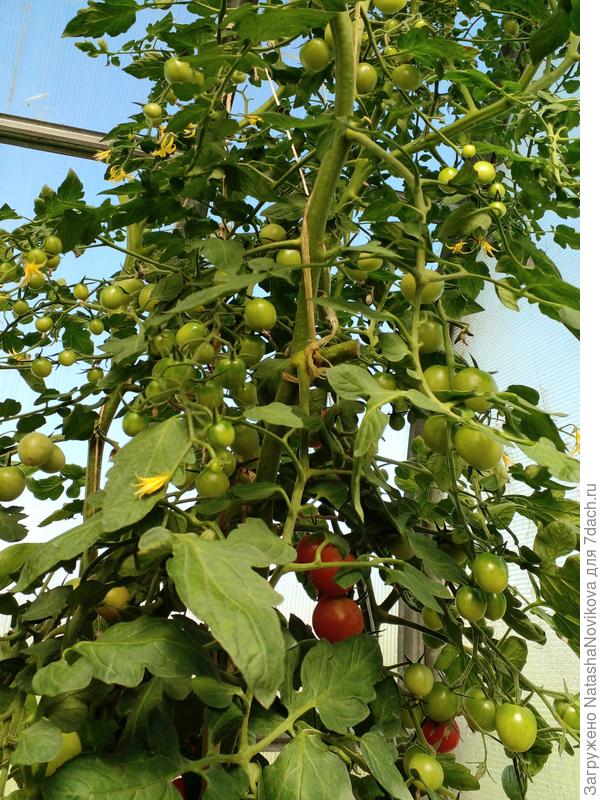 высота уже 2,20м