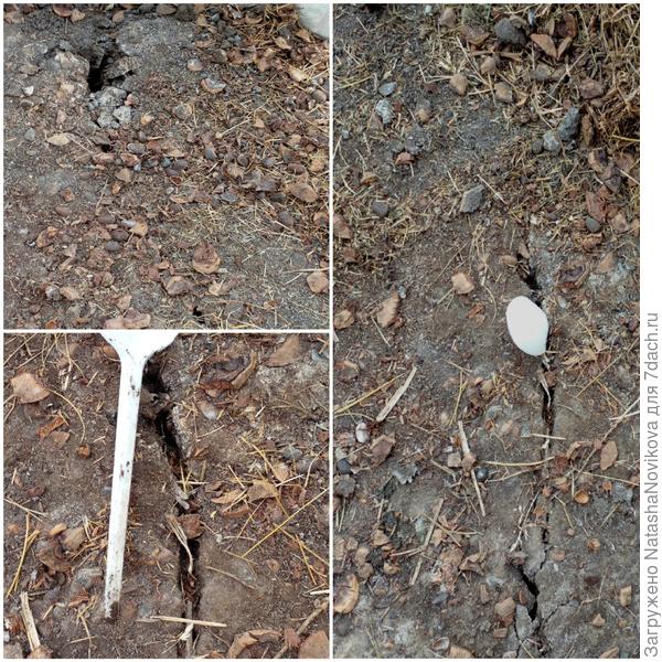 дорожка в трещинах