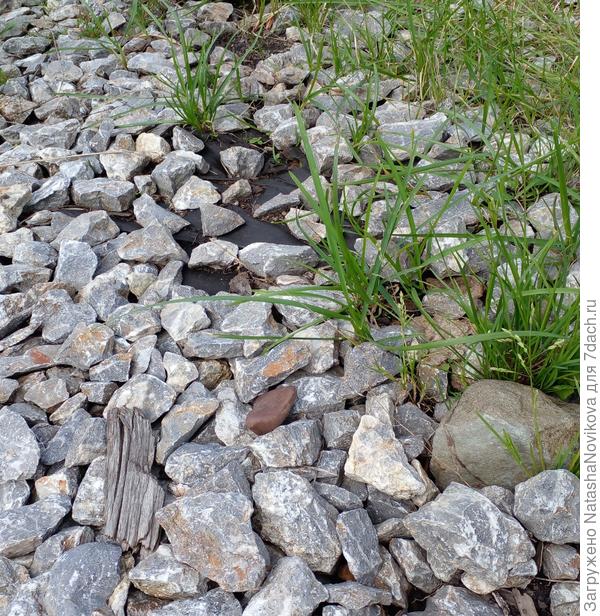 а может проще бы было просто скашивать