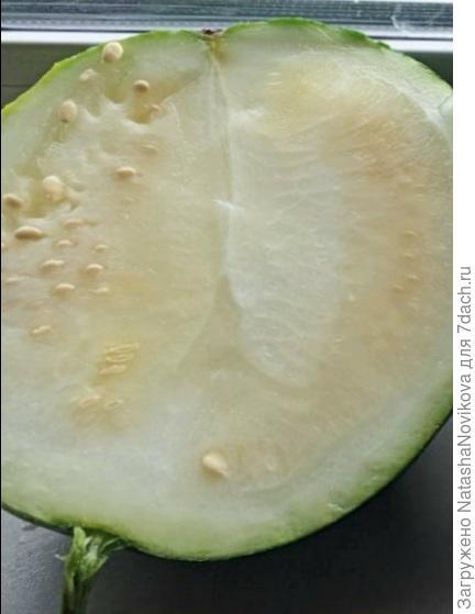 не спелый арбуз