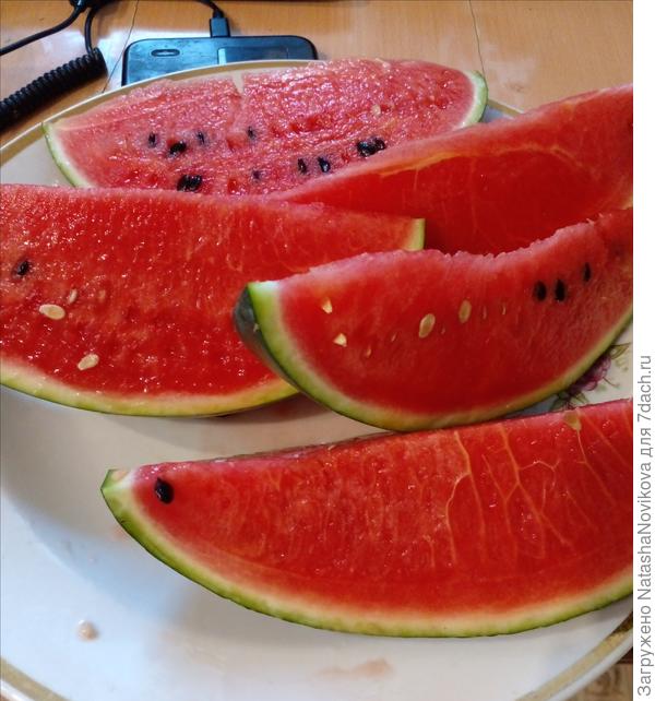 поздно вспомнила что нужно фотать, но &quot;седек&quot; в очередной раз не подвёл