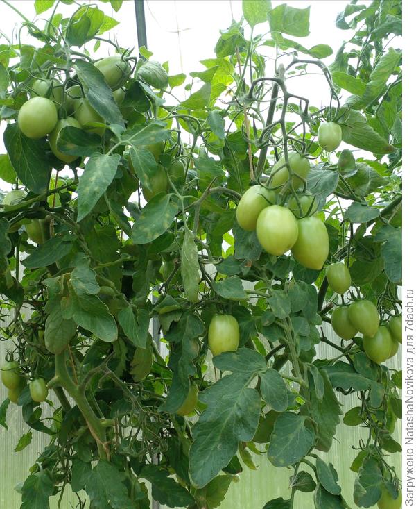 даже &quot;пламя&quot; не спеет, темнотааа