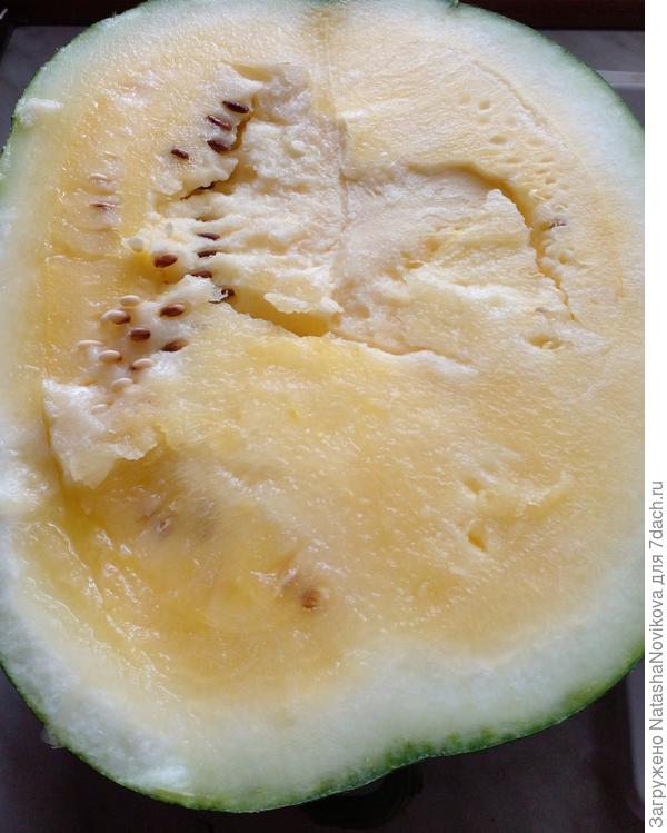 при разрезе арбуз сам развалился