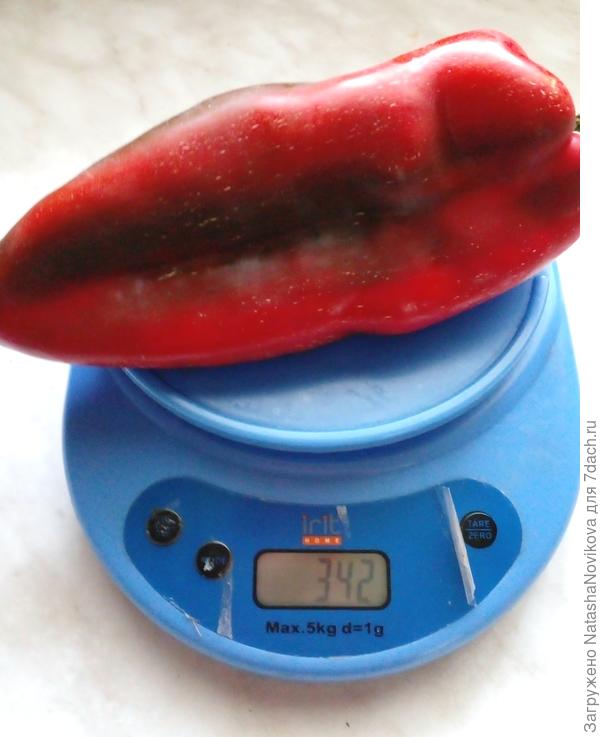 самый крупный