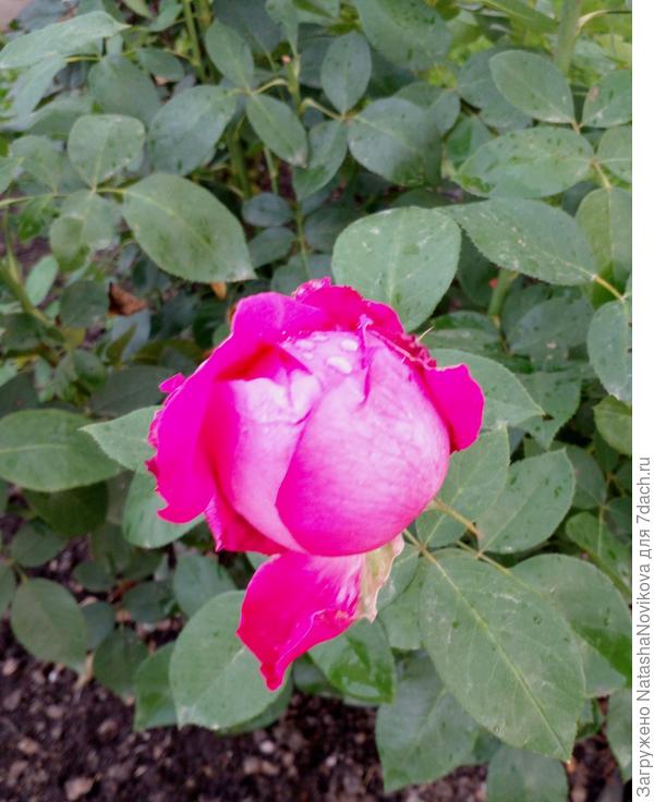 пока тепло может и успеет