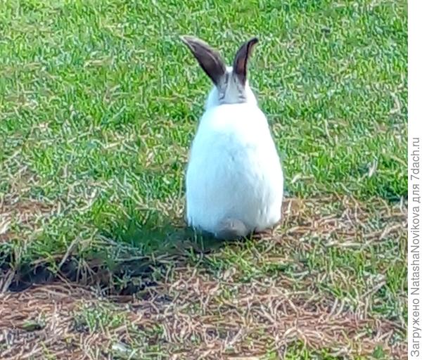 застеснялся позировать