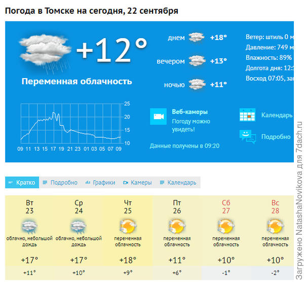 первый ночной минус обещают к выходным
