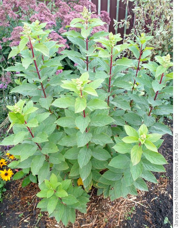 24 сентября 2025 года