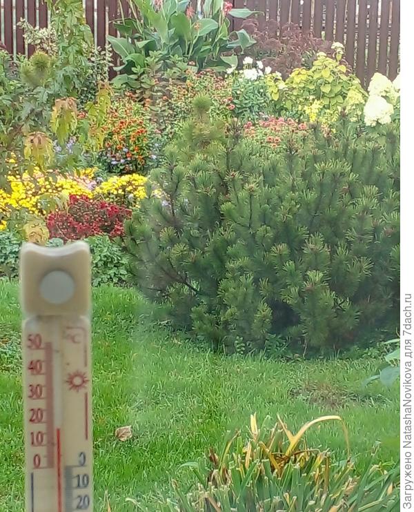 всё уже жухнет и отцветает