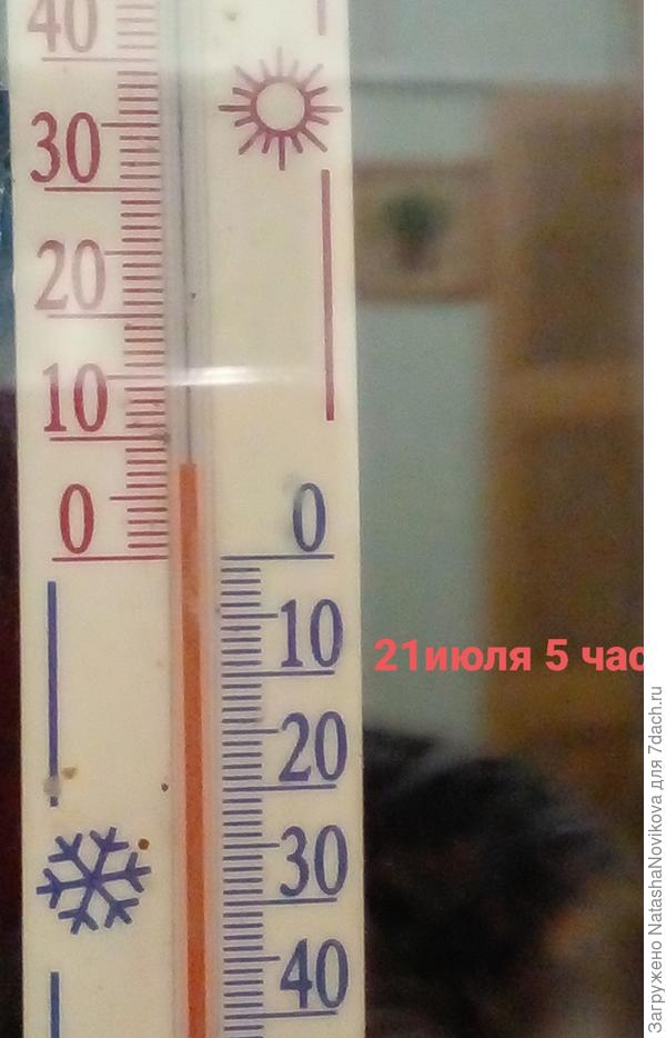 21 июля - ночной холод