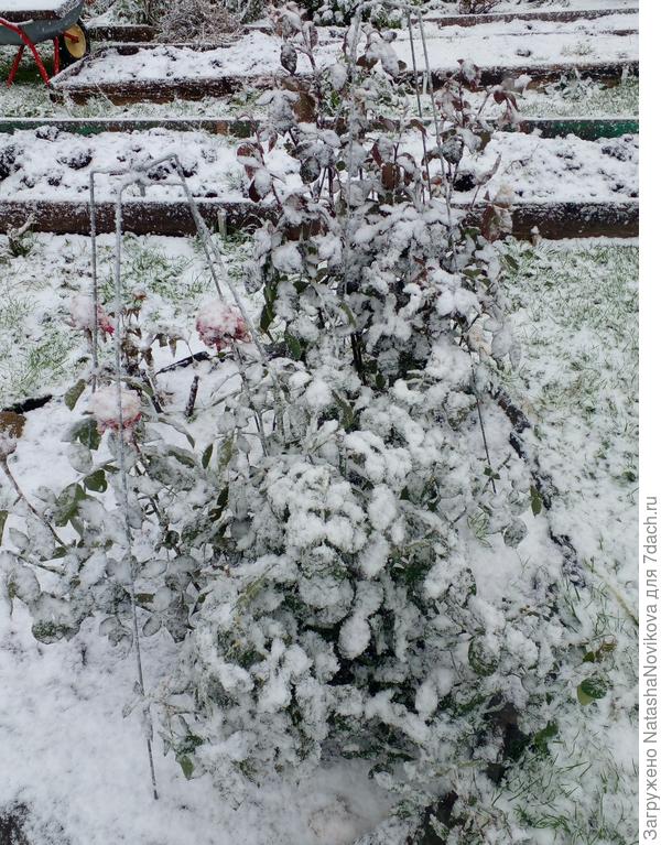 не знаю как резать в такую сырость.