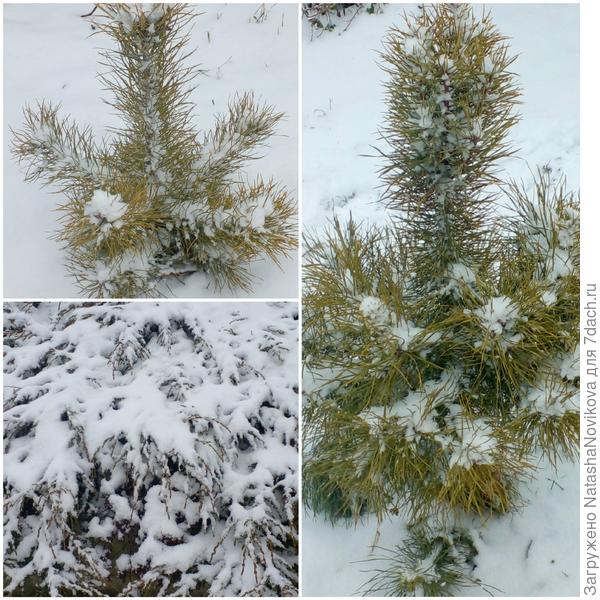 29 октября 2021 года