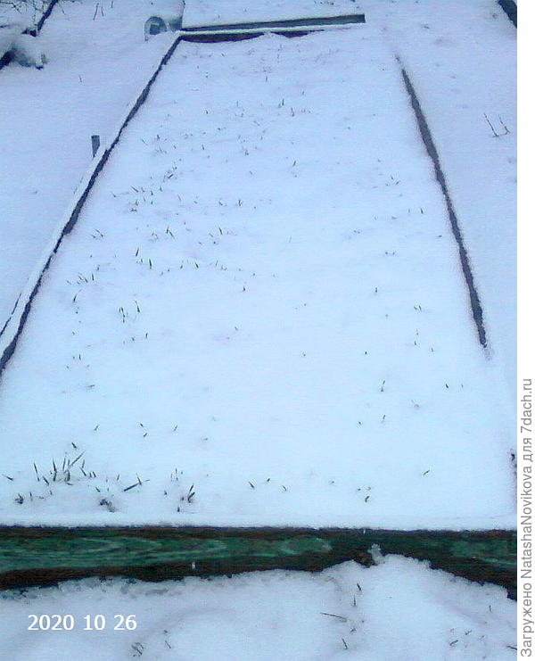 первый снег в 2020 году