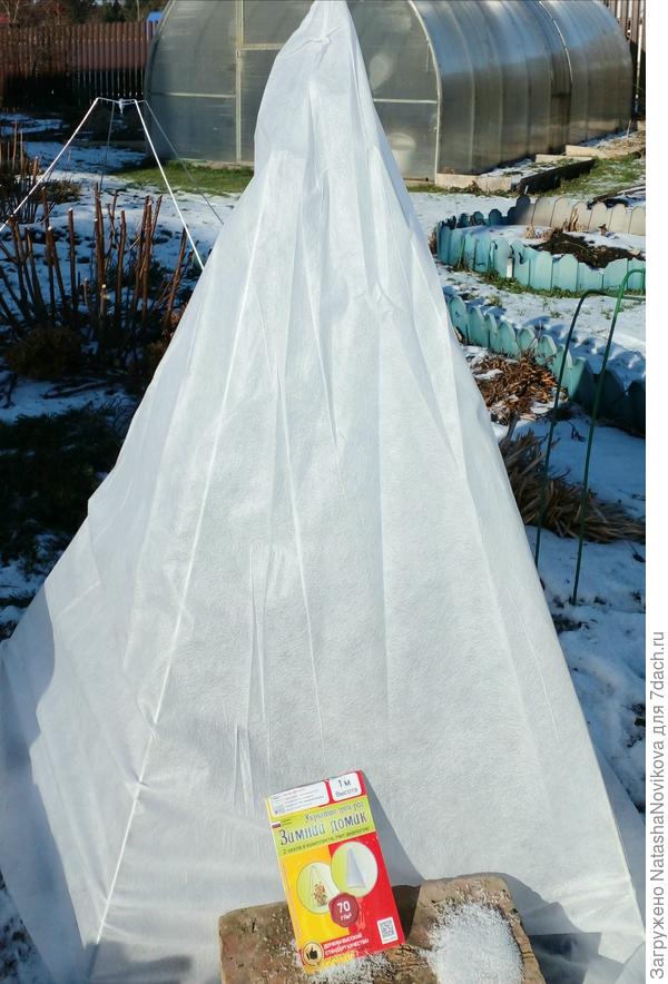 очень удобные домики для роз