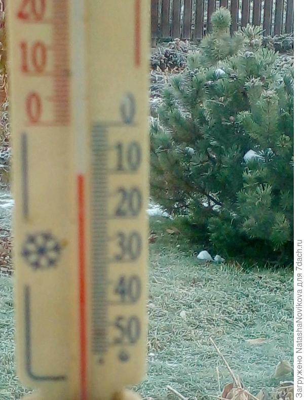 16 октября 2025 год