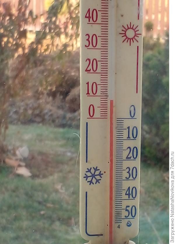 25 октября 2025 год