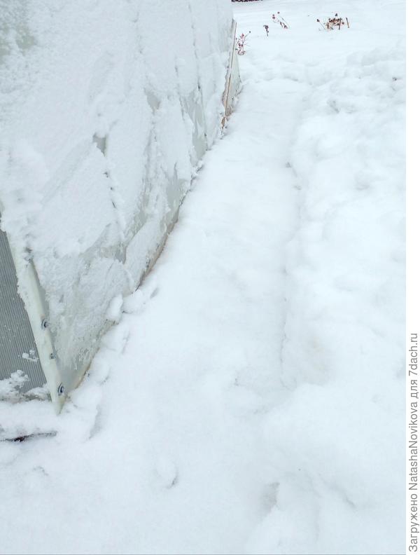 очистила теплицу от снега