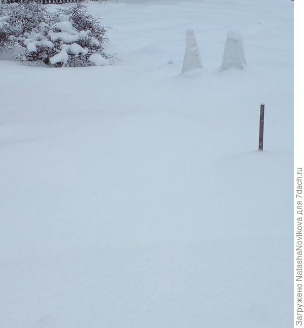 для этого календарного времени снега многовато
