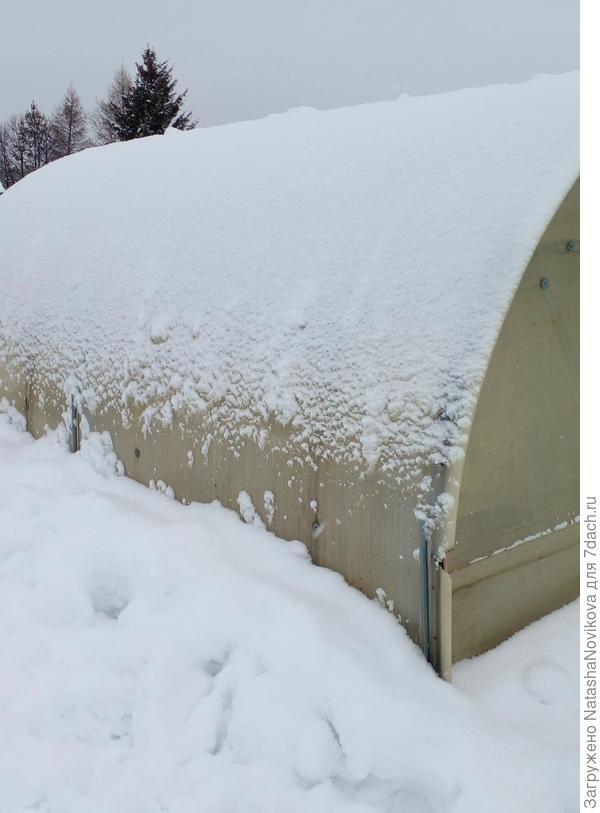с этой теплицы только смела снег, нужно отбросить, но лёгкий морозец сегодня приковал снег к п/карбонату почти намертво, не хочу рисковать