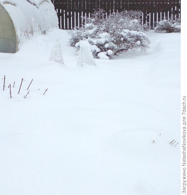 теперь нужно пробраться к большой теплице))