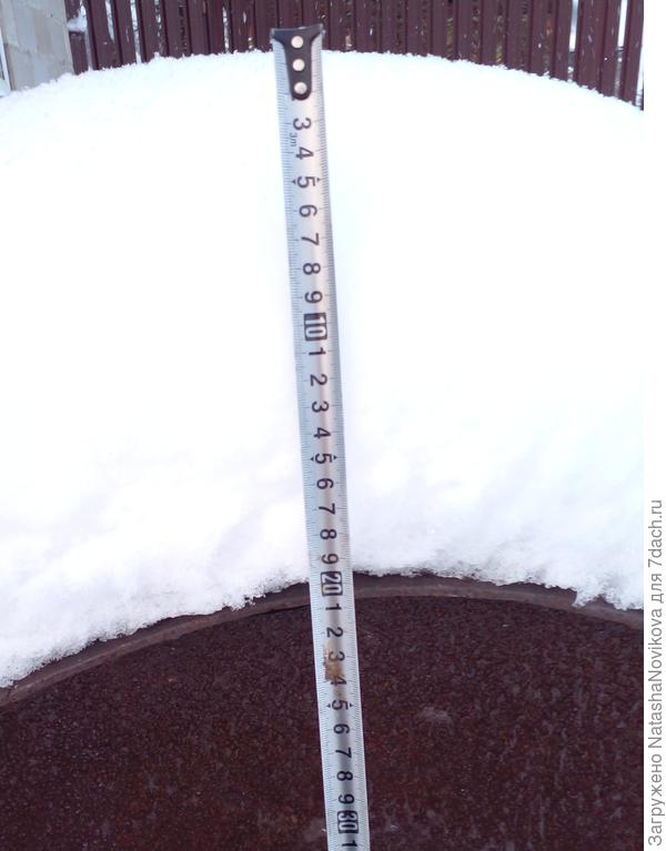 старые бочки оставила на улице, весной хочу разрезать на ограничители - 20 см снега