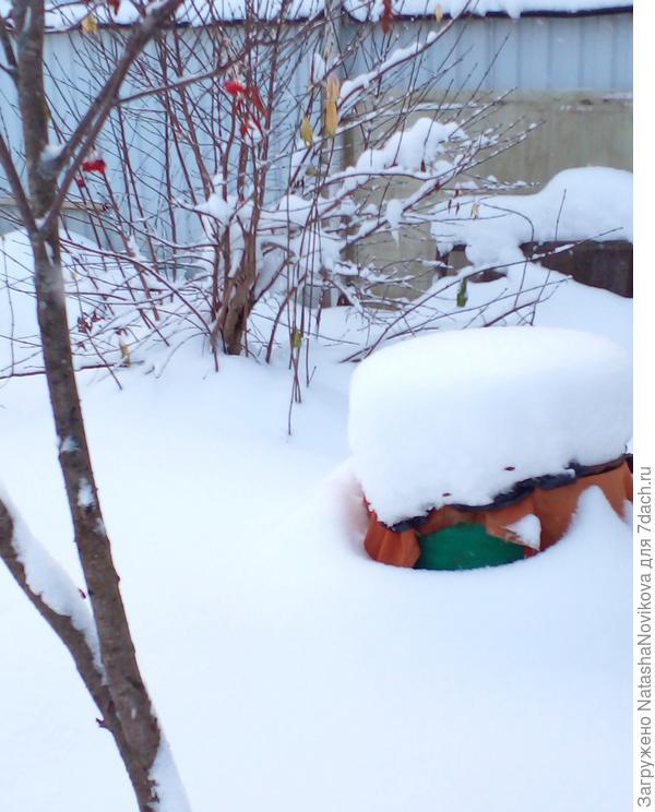 к забору не полезла...