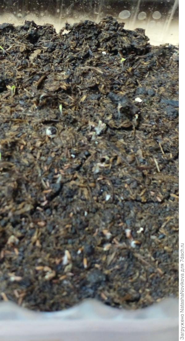 ну совсем волоски;)