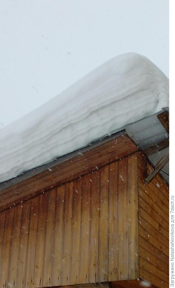 Грибы на крыше