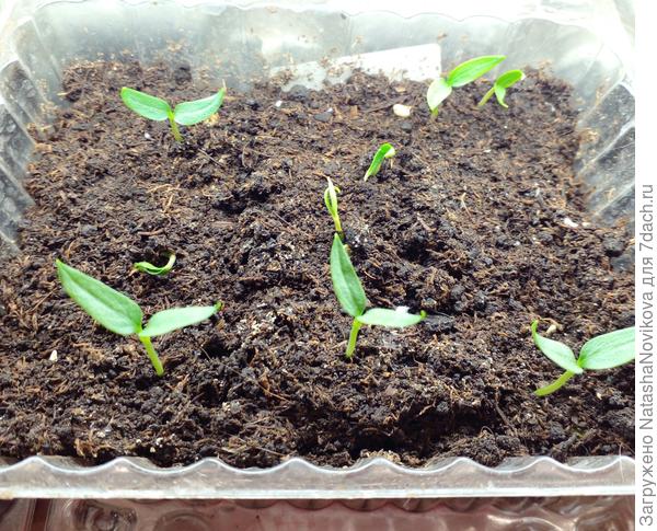 Времени еще хватит