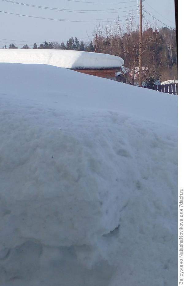 А из второго кухоного окна я в непогоду за клумбами присматривала...пока сугробище и только крыша гаража виднеется.