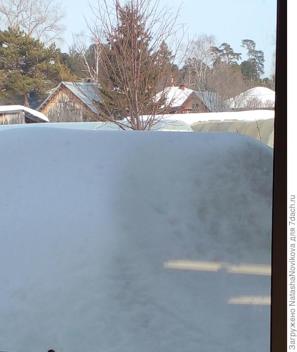 Из этого кухонного окна я в непогоду за теплицами присматривала. Пока только сугроб и крыша одной теплицы