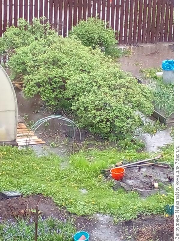 вода....