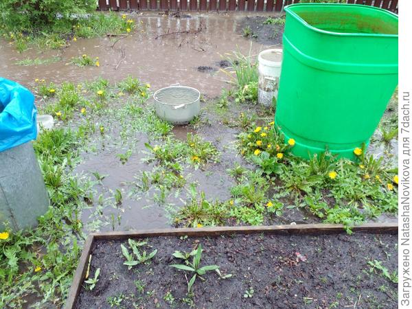 притащила бочки, набирала в них воду, потом дренажным насосом в уличную канаву через 40м выкачивала, хорошо что шлангов хватило