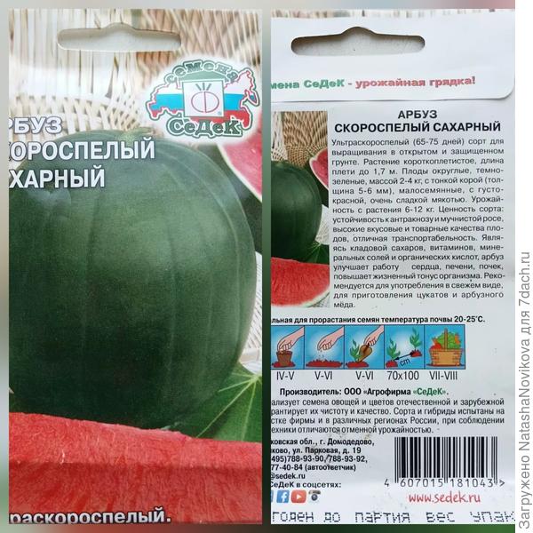 В прошлом сезоне был просто сахарным, пока два штучки наливаются