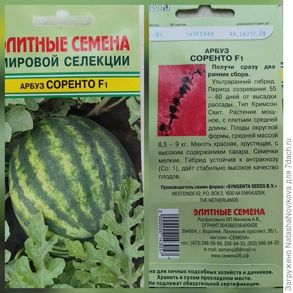 Такой пока не завязался