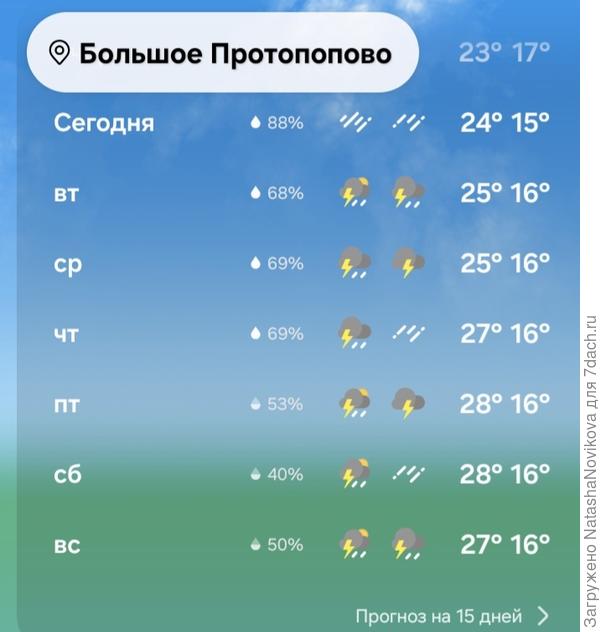 Вот такой прогноз рисуют