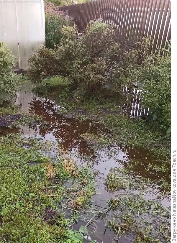 Вода подошла к теплице
